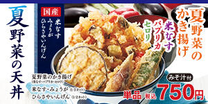 夏野菜の天丼